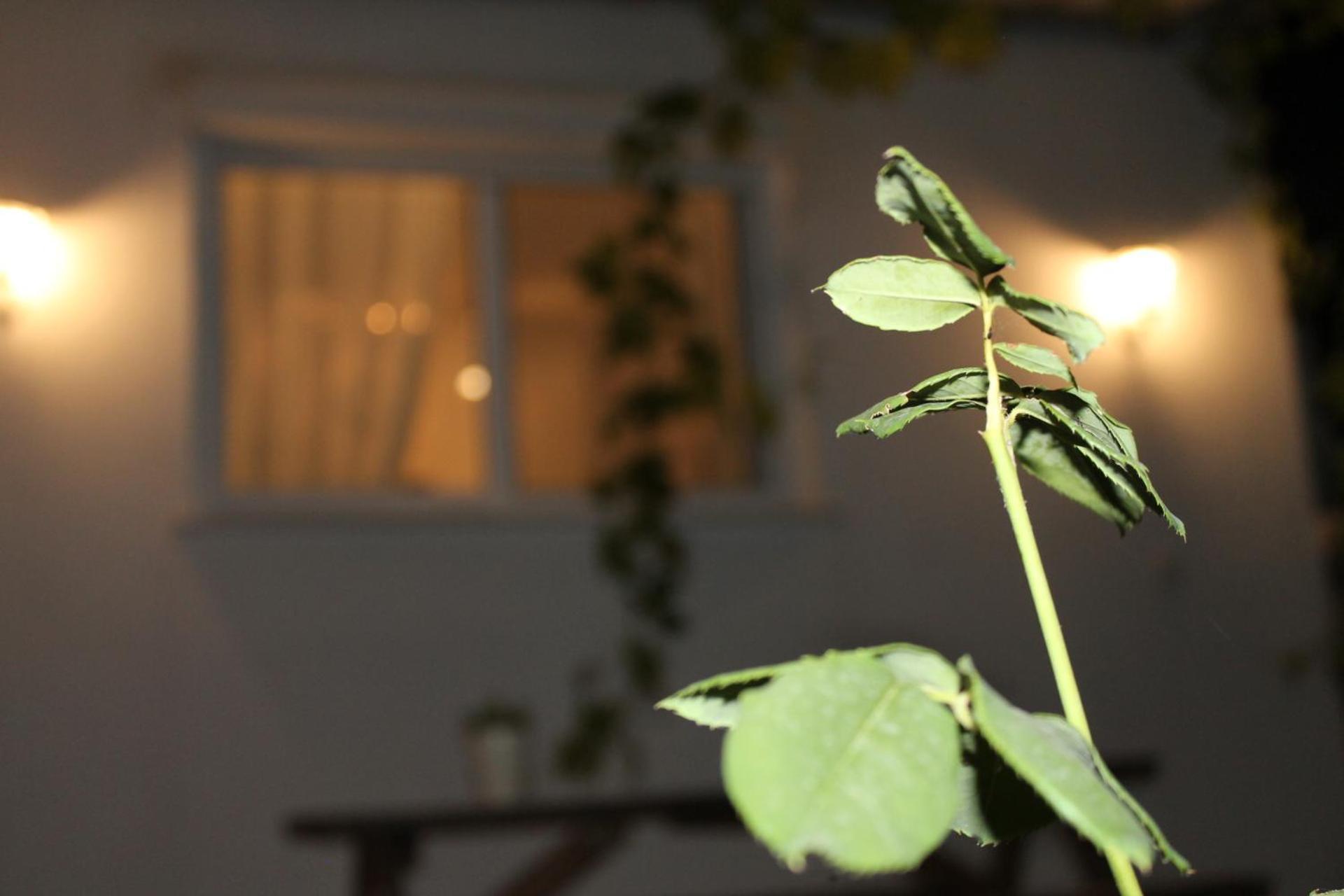 Ηώς Apartment Thassos Екстериор снимка